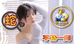 港澳挂牌43877 - 港澳挂牌