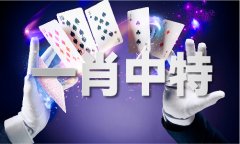 澳门宝典下载V72