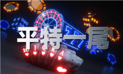 一波中特免费公开资料