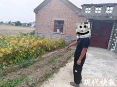 徐州“雌雄小盗”17次偷